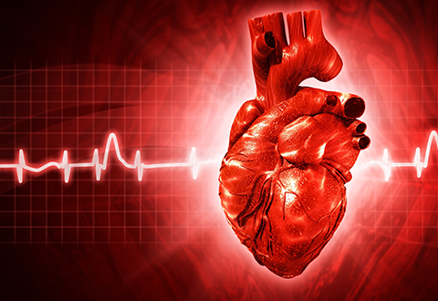 Debunking Myths About Irregular Heart Rhythms