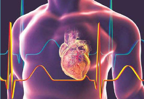 ATTR-CM - heart and body picture