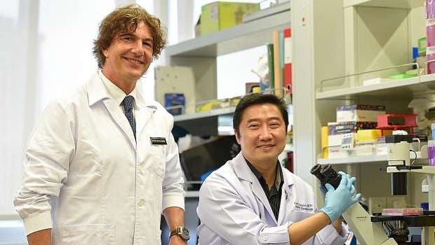 Cell research to aid diagnosis of arthritis in kids
