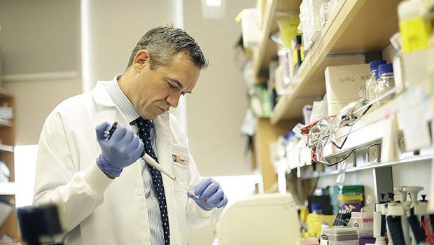 Researchers find protein behind organ failure