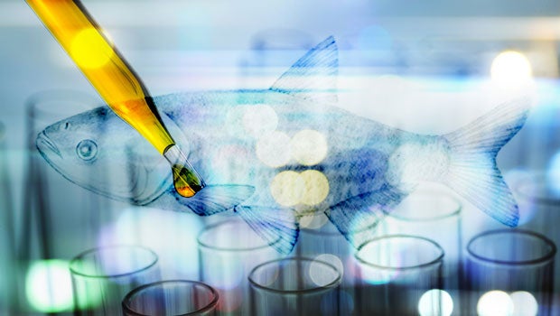 Researchers closer to cracking GBS bacteria code