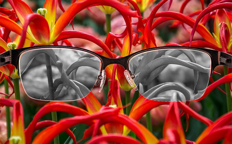 ​Colour Blindness: 5 Tips to Manage