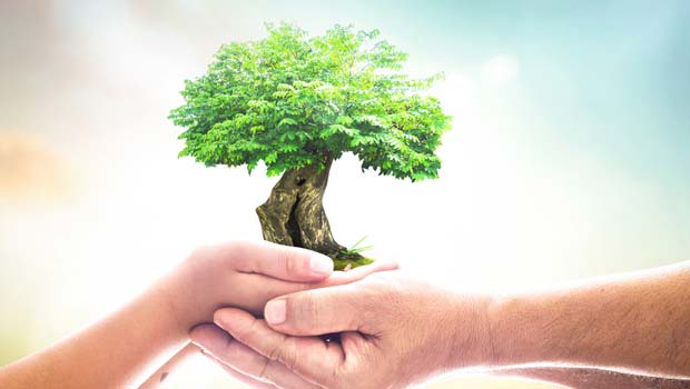 Helping our patients live on: Refocusing transplant awareness