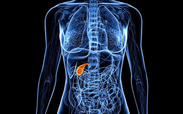 Gallbladder Cancer: Small but Dangerous