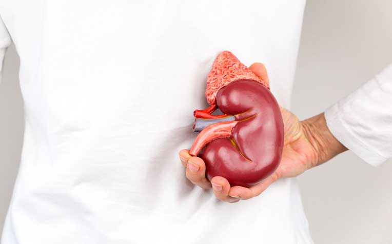 Kidney Cancer: Causes and Symptoms