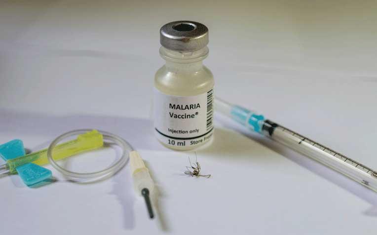  ​How to Prevent Malaria 