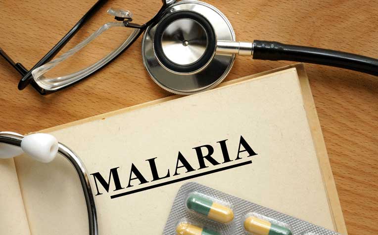 Malaria: Symptoms and Treatment