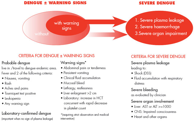 When Dengue Fever Becomes Severe Dengue