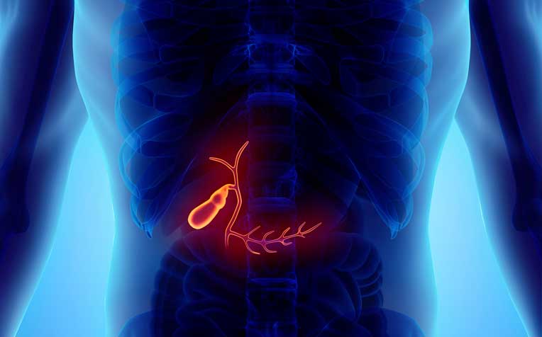 /sites/hexassets/Assets/digestive-system/diagnosing-and-treating-gallbladder-disease.jpg