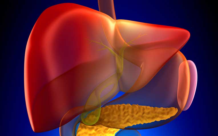 ​10 Ways ​to Keep Your Liver Healthy 