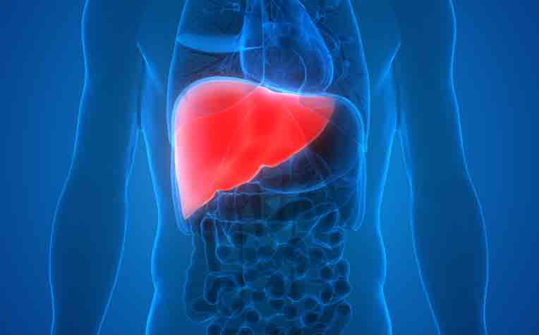 Liver Transplant: What Is It and When to Consider It