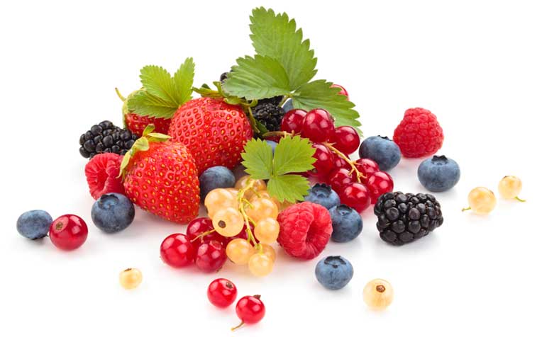 Antioxidants: What's the Hype?