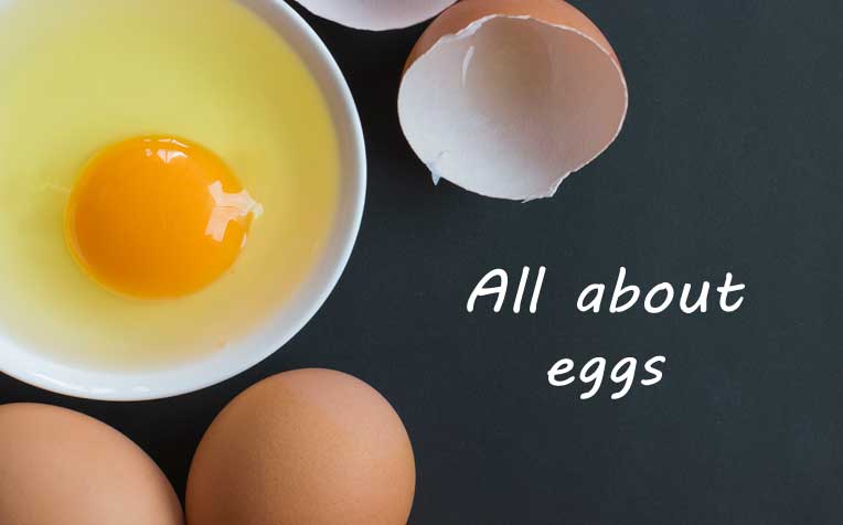 Eggs, The Nutrition Source