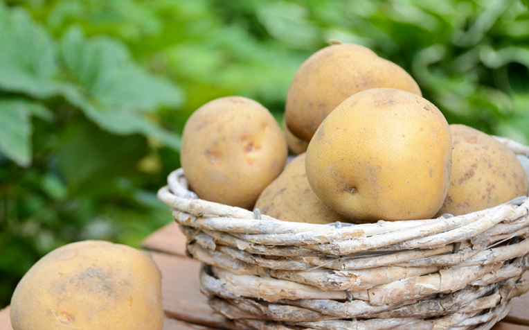 What are tips for finding a potato's nutritional value?