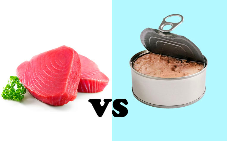 Tuna Health Benefits - Fresh Tuna vs Canned Tuna