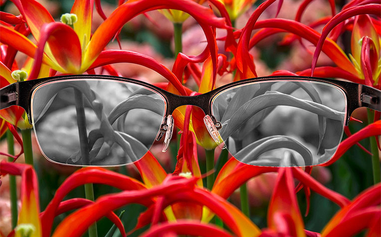 ​Colour Blindness: 5 Tips to Manage