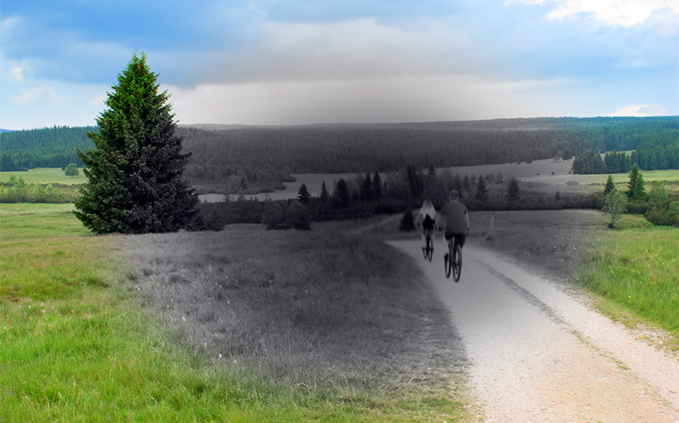 Macular Degeneration (Age-Related Macular Degeneration): How to Prevent