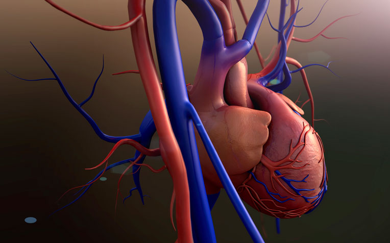 Heart Valve Disease: Symptoms and Treatment - HealthXchange