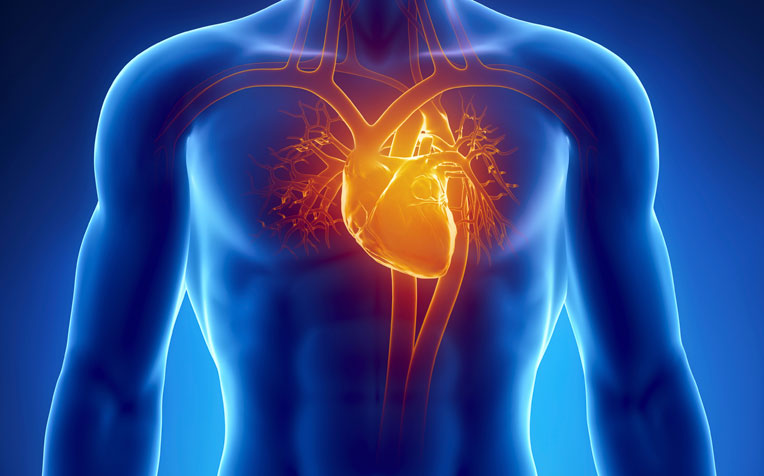  ​Implantable Cardioverter Defibrillator All You Need To Know