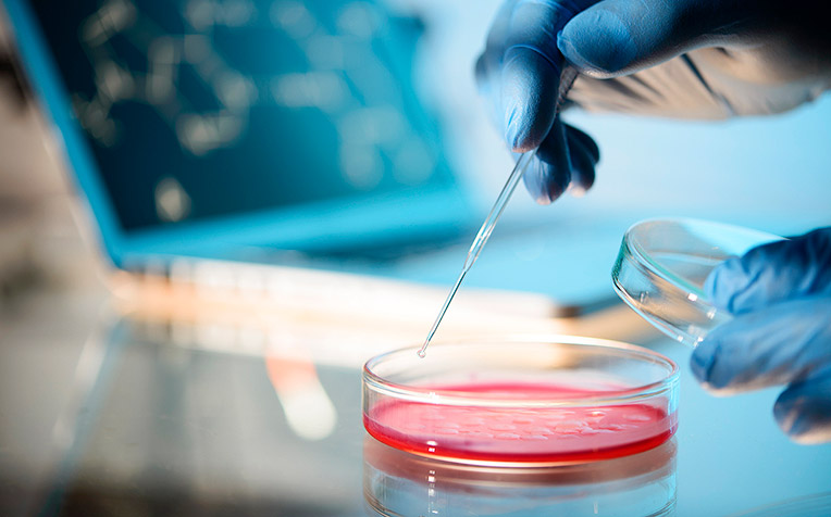 Long QT Syndrome (LQTS): Potential Cure Discovered