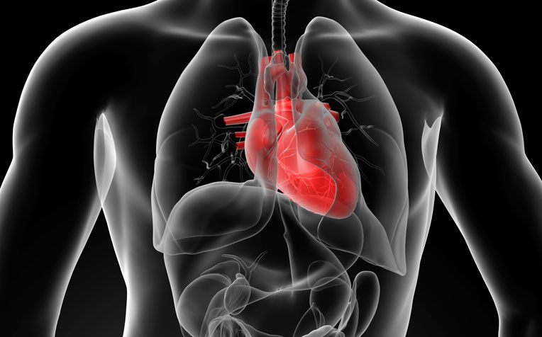  ​​New Defibrillator May Reduce Sudden Cardiac Death Risks