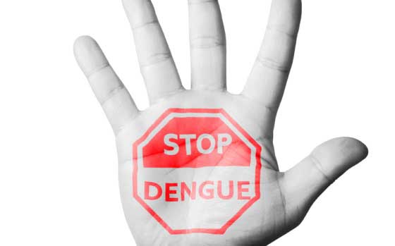 ​​Dengue: Latest Updates Singapore and International