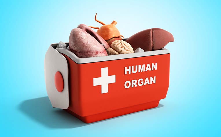 Image result for human organ transplant