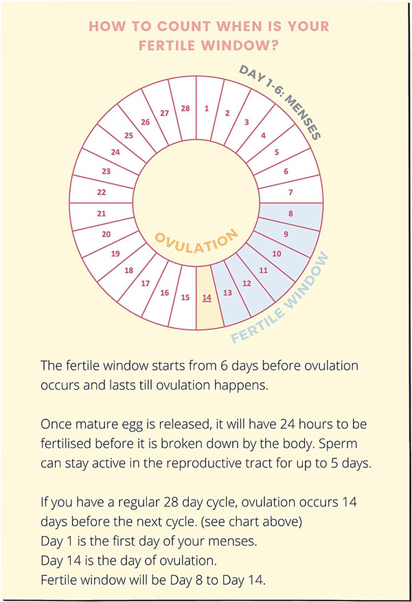 Popular Fertility Questions Answered 