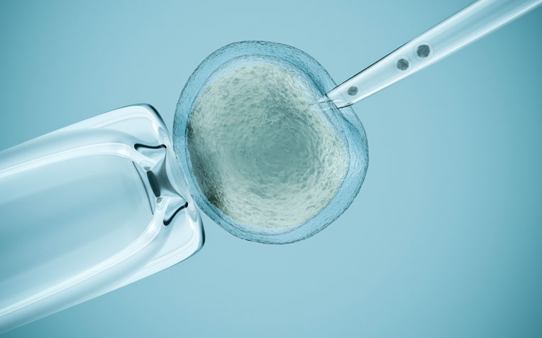  ​Assisted Reproductive Technology (ART) What You Need to Know
