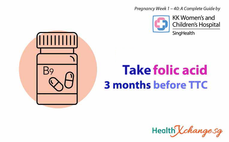 /sites/hexassets/Assets/women/planning-pregnancy-baby-folic-acid-b.jpg