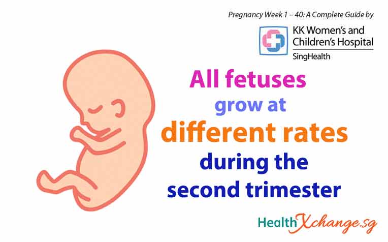 Pregnancy Week 13: Welcome to Your 2nd Trimester!