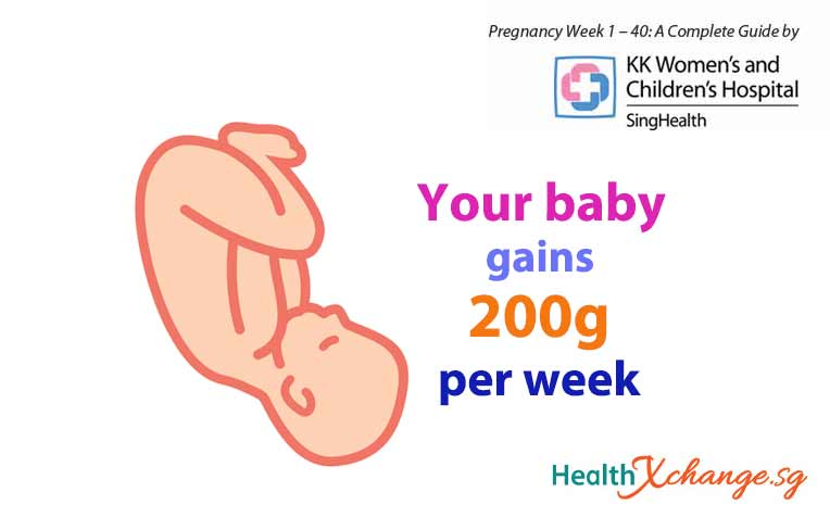 Pregnancy Week 30 Baby Gains 200g Per