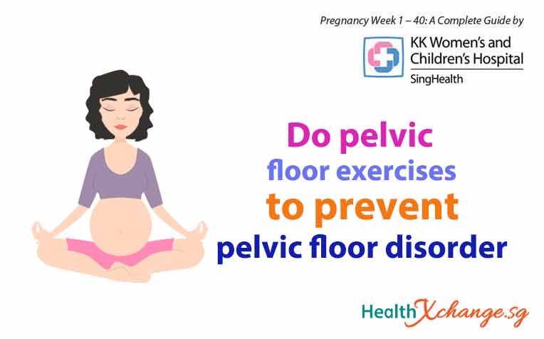 Pregnancy Week 23 Why Do Pelvic Floor Exercises