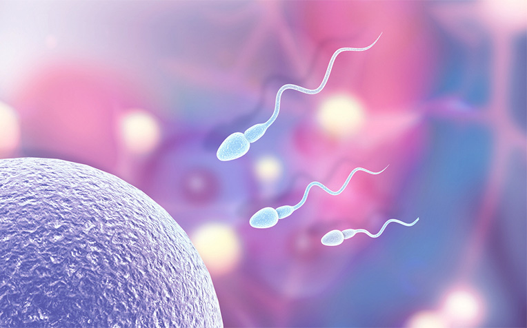  Why Does Fertility Fail? 