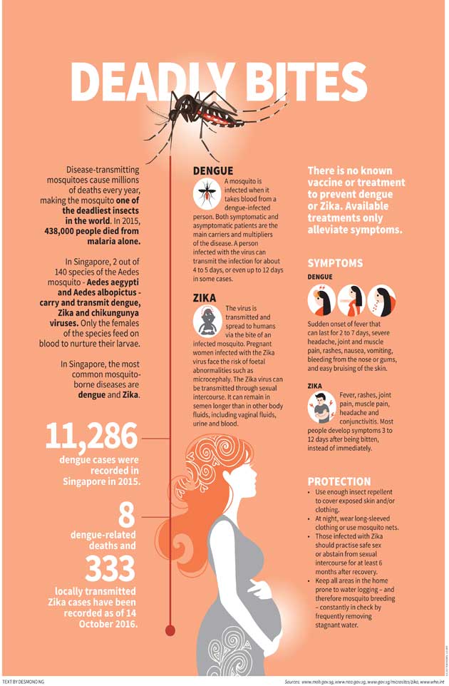 Zika Infographic