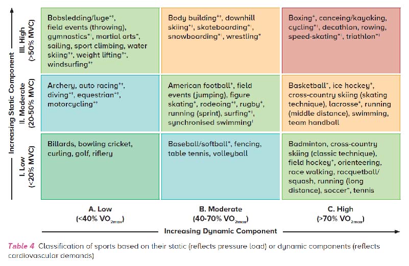 Classification of sports based on their static or dynamic components