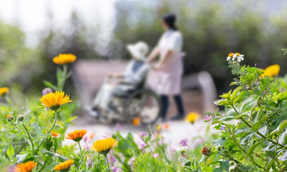 End of Life Care - SingHealth Duke-NUS Supportive & Palliative Care Centre