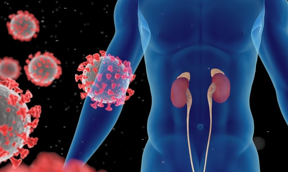 ​Minimising the Risk of COVID-19 in Kidney Transplant Recipients - SingHealth Duke-NUS Transplant Centre