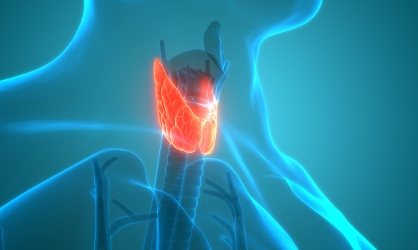 Thyroid Nodules - SingHealth Duke-NUS Head & Neck Centre