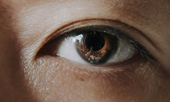 Safeguarding Sight by Catching Inherited Eye Conditions Early - SNEC