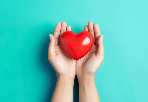 /sites/shcommonassets/Assets/Inspire/2024%20Issue%202/heart-in-hand.jpg