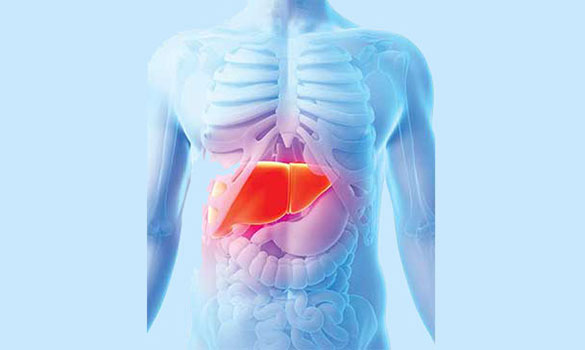 Improving survival outcomes in liver cancer - National Cancer Centre Singapore