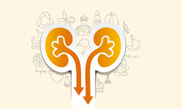 Renal Transplant Programme at SGH 