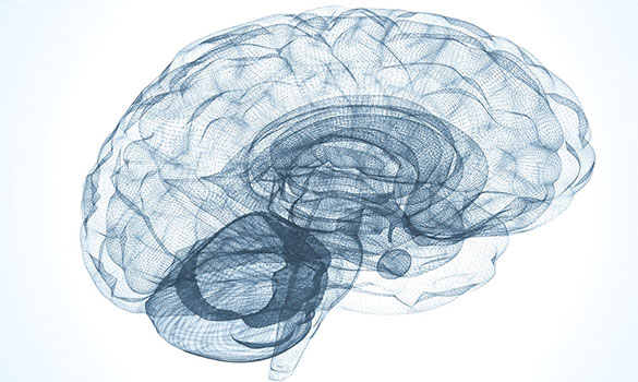 Non-convulsive Status Epilepticus and Continuous Electroencephalogram Monitoring - NNI