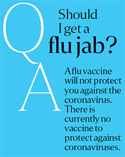 A flu vaccine will not protect you against the coronavirus.