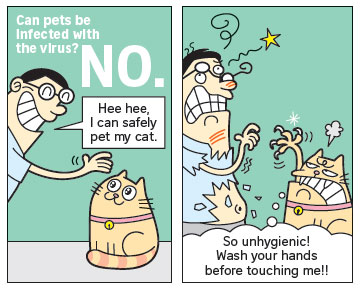Coronavirus: there is no evidence that pets can be infected with the virus.
