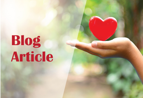 NHCS Heart Blog Article