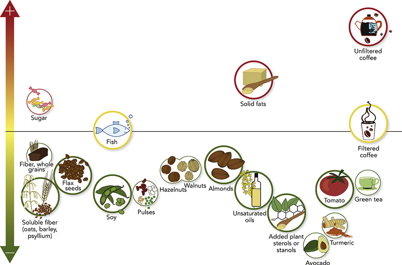 The effects of foods on LDL cholesterol levels