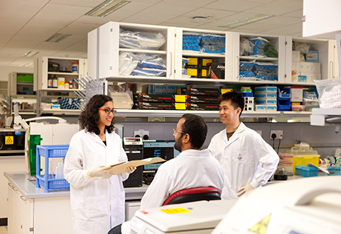 nhcs researchers in lab