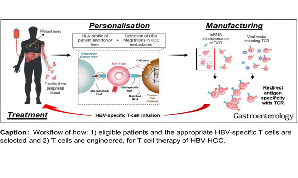 Personalized T-cell therapy for liver cancer